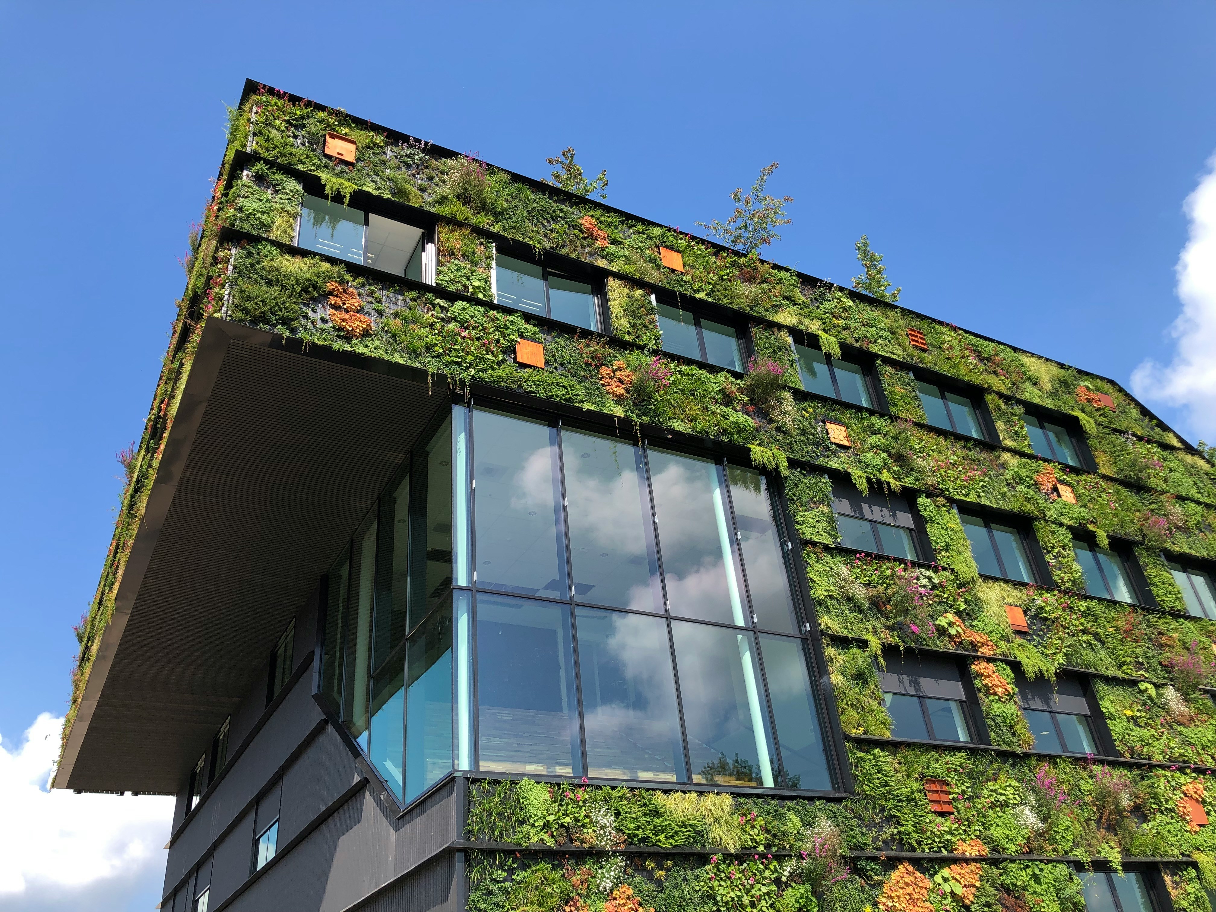CEPI Statement on the Energy Performance of Buildings Directive (EPBD), March 2023